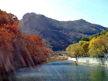 新澳天天开奖资料大全旅游团，行业搜索引擎